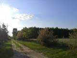 Csemő