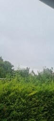 Gárdony