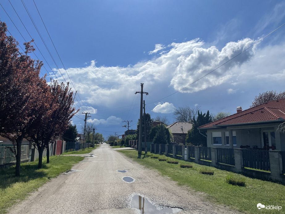 Monorierdő