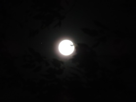 Antares és Hold 2023.06.03. A kép Budapest XVIII. kerületében készült.