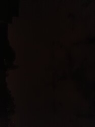 Szeged
