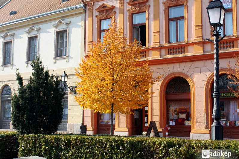 Őszi színekben