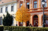Őszi színekben