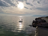 Balatonrendes