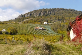 Már alakulnak az ősz színek Badacsonyban is...