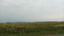 Zalkod