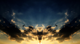 Freedom