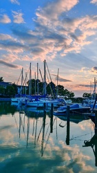Tükör 