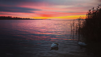 Nap végi elcsendesedés... 