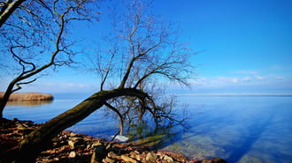 Vasárnapi gyönyörű délelőtt 