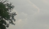 Szigethalom