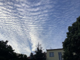 trebitsch fotója
