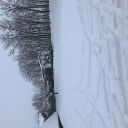 Bakonynána