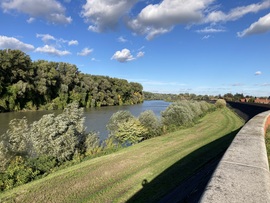 Tisza