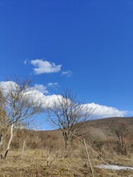 Szurdokpüspöki