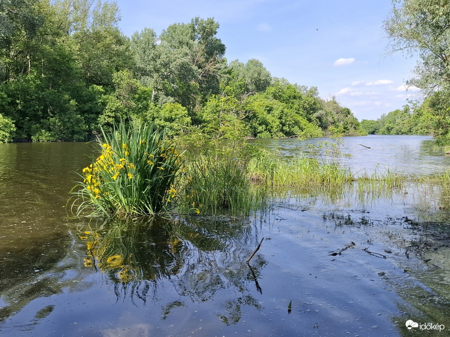 Tiszacsege