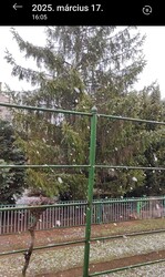 Dánszentmiklós