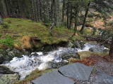 kis vízesés a Mount Fløyen egyik kis tava mellett