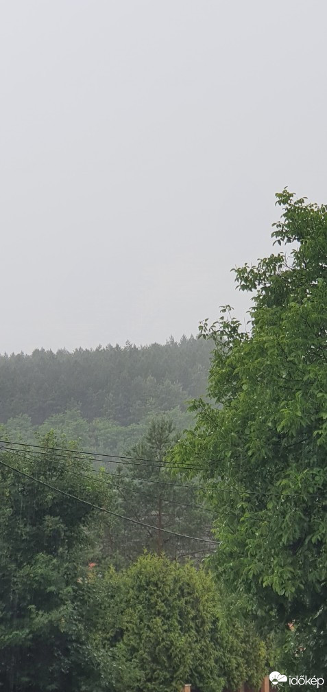 Bükkszék