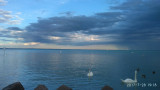 Balatonalmádi