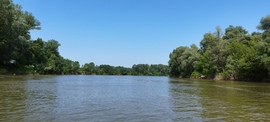 Tisza