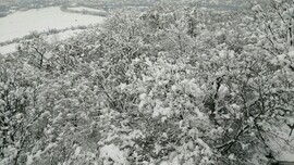 Gyula