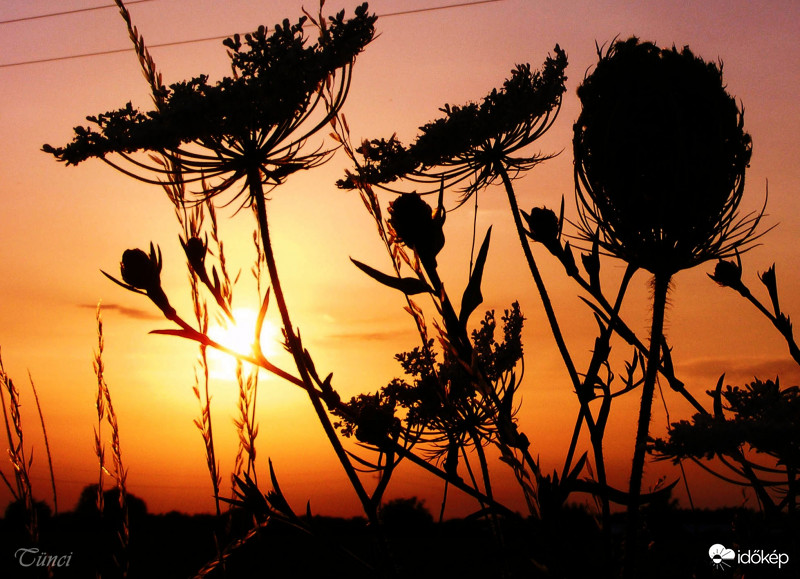 "Hogy hány fok van odakint??  Az összes..." :) 