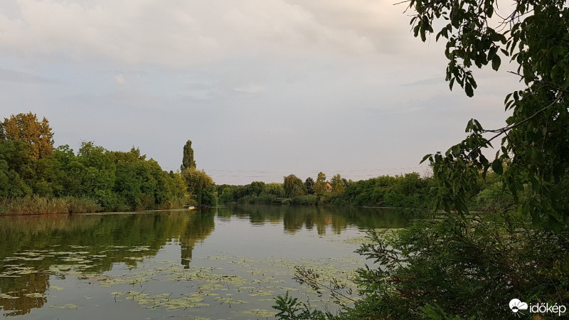 Szarvas