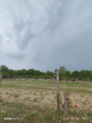 Újszilvás