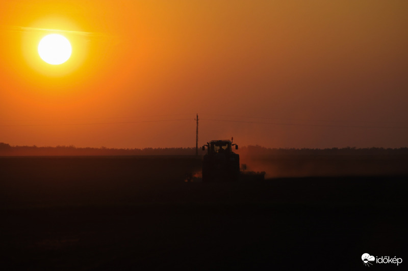 Dolgozó traktor a naplementében 