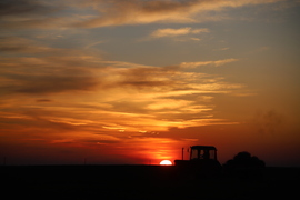 Traktoros naplemente 