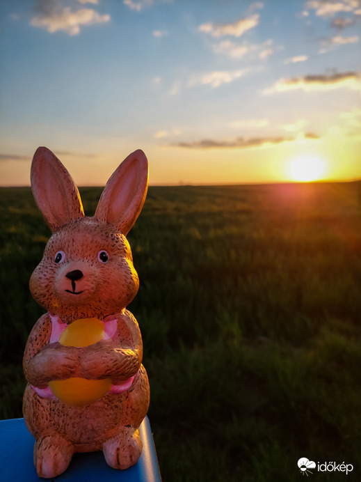 Nyuszikás Naplemente 