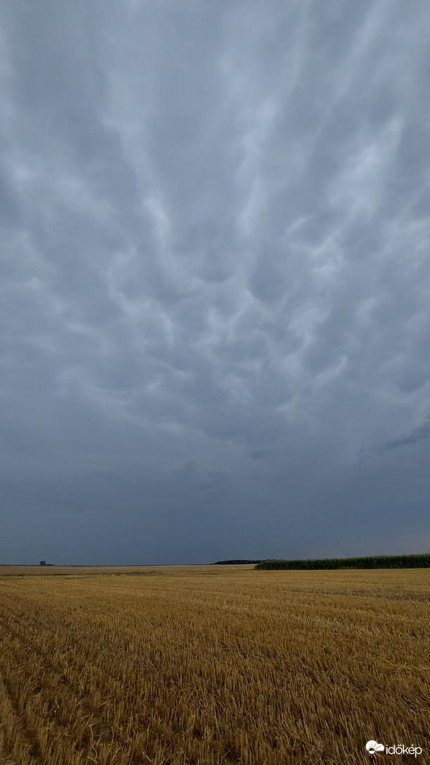 Mammatus