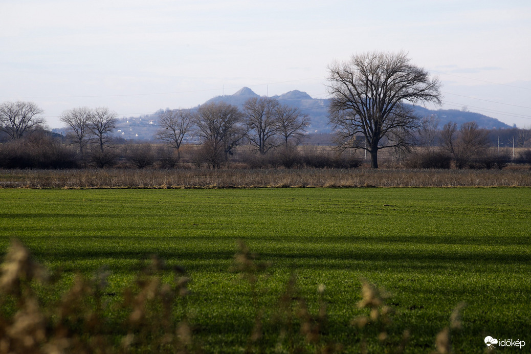 Ság-hegy a berekből fotózva 