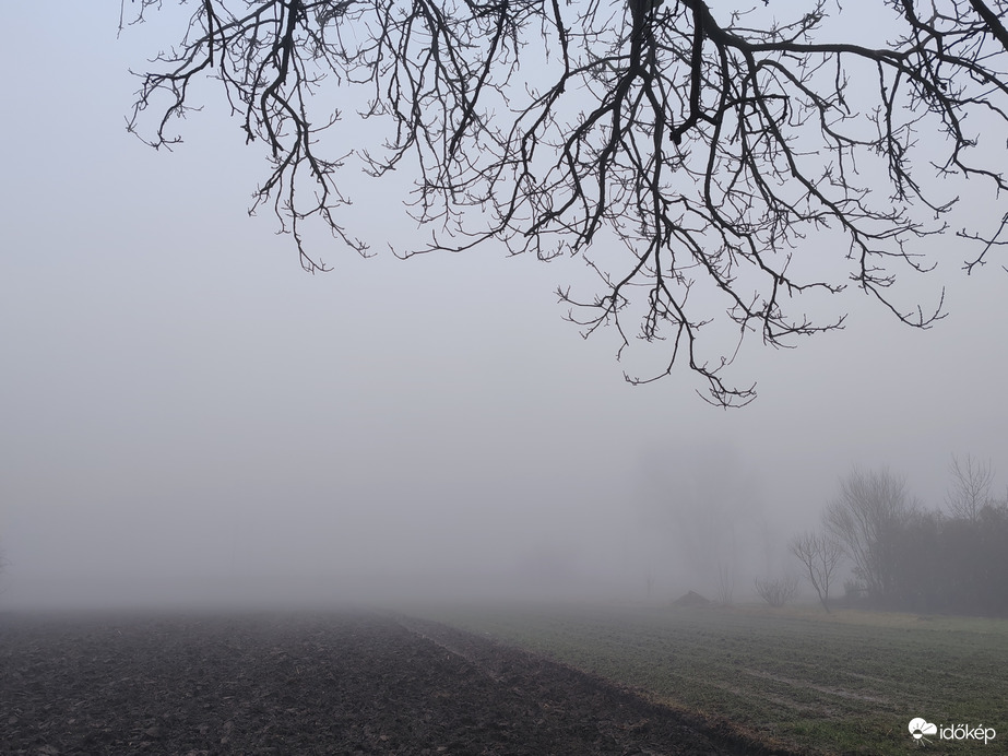 Ködbe burkolózva 