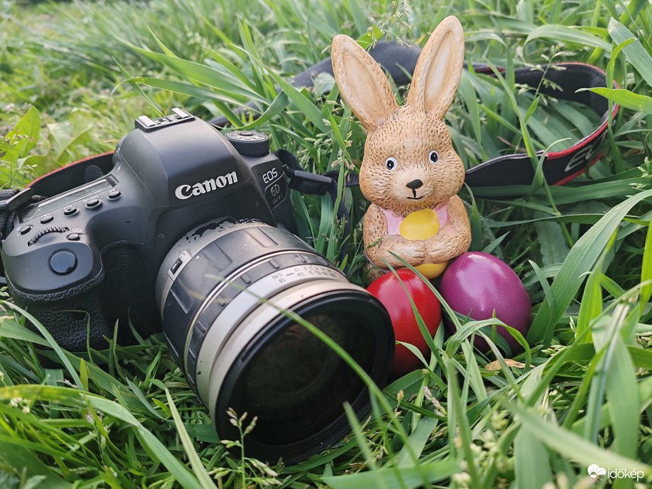 Kellemes Húsvéti ünnepeket kívánok 