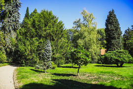 Sárvári Arborétum 