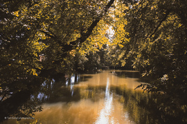 Sárvári Arborétum 