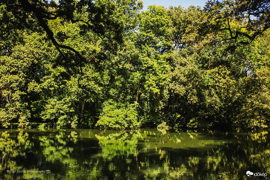 Sárvári Arborétum 
