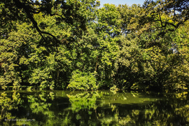 Sárvári Arborétum 