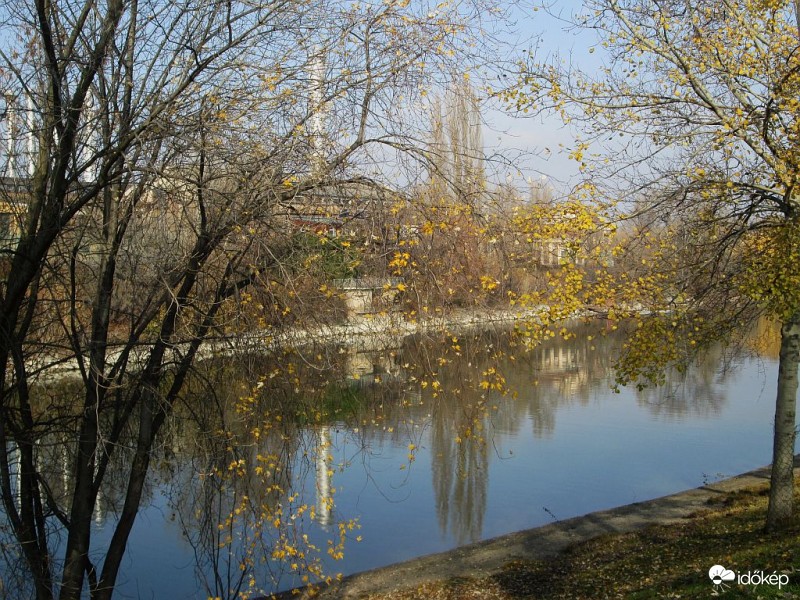 Egy szép novemberi délelőtt...