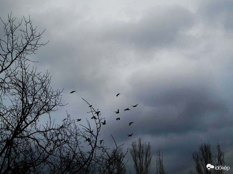 Budapest, XI. kerület