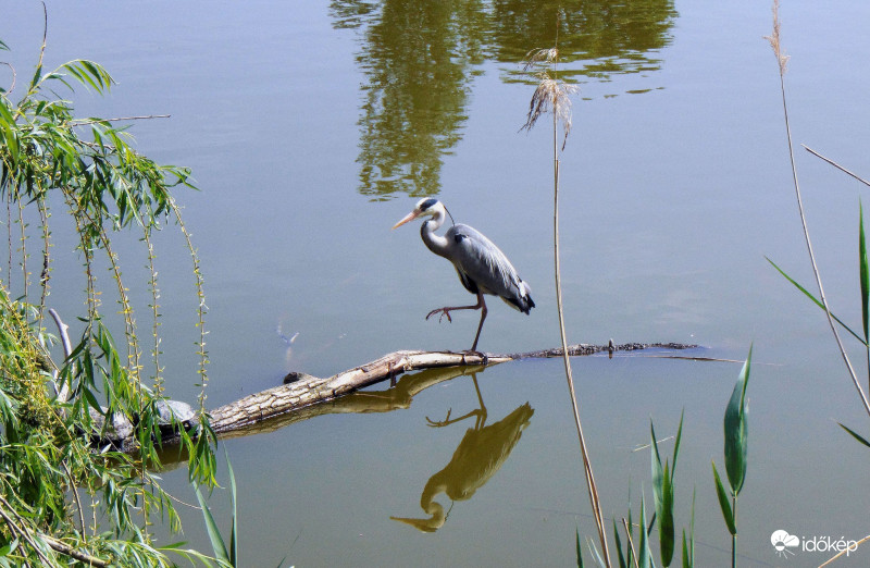 Elrettentésképpen..