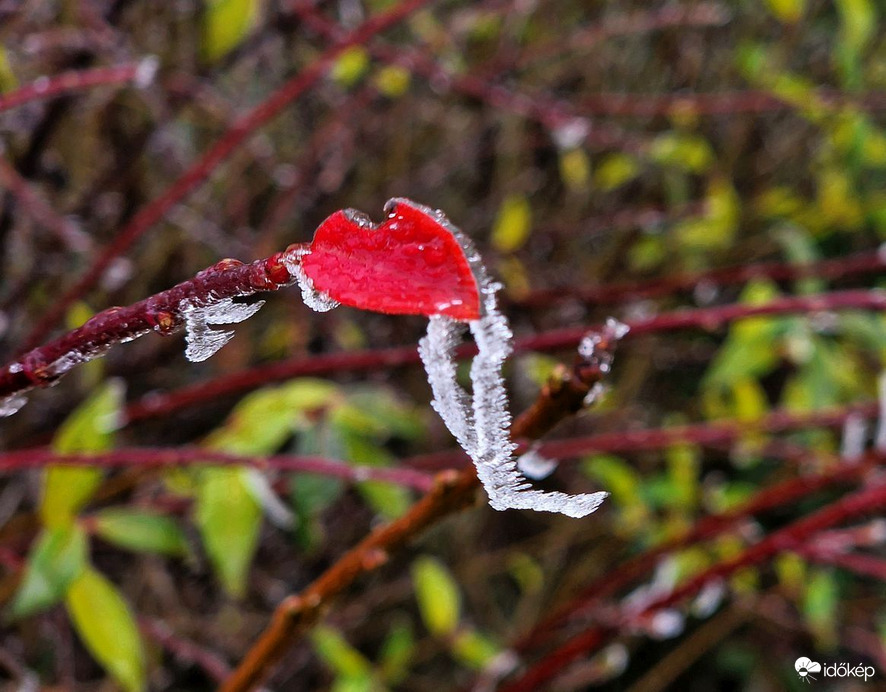 "Jégcsizmakészítő"