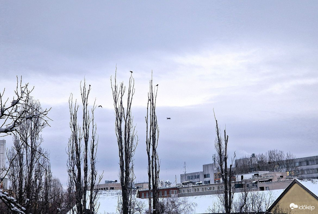 Budapest XI. kerület