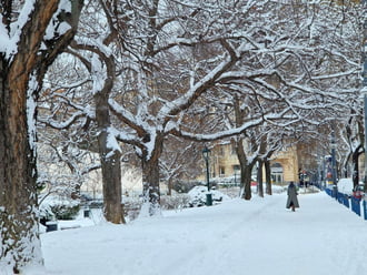 A Bartók Béla úton