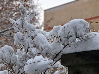 Budapest XI.kerület,