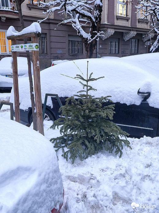 Vissza a természetbe!  D )