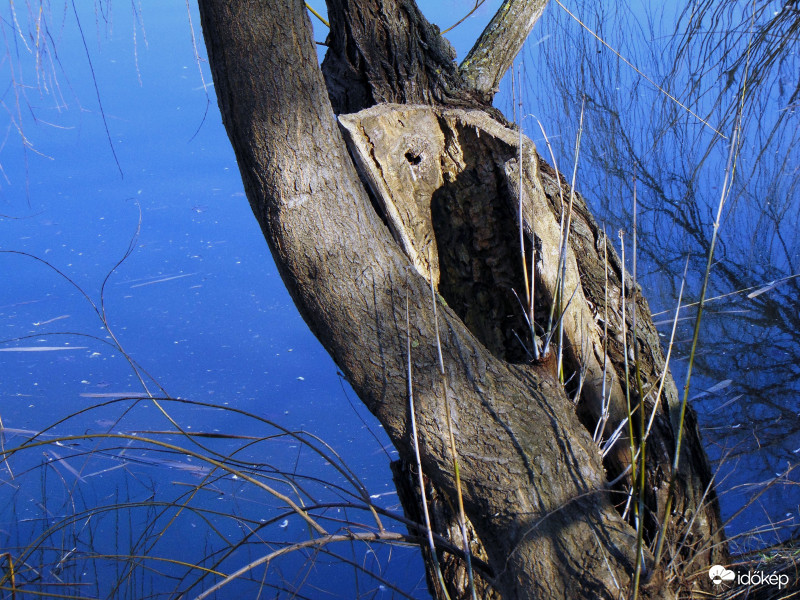 Fény és árnyék..