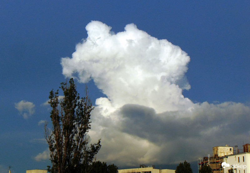 Budapest XI.kerület